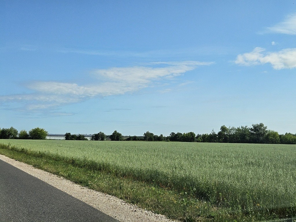 Przetarg - obręb 0014, Szamoty - Widok 3