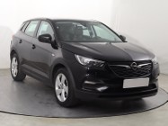 Opel Inny Opel , Navi, Klimatronic, Tempomat, Parktronic