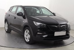 Opel Inny Opel , Navi, Klimatronic, Tempomat, Parktronic