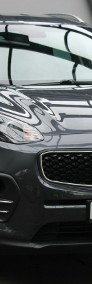 Kia Sportage IV Bezwypadkowy-Bogata wersja wyposazenia-Serwis-GWARANCJA !!!-3
