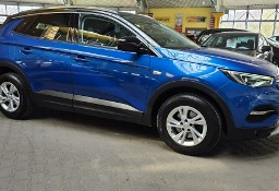 Opel Grandland X ZOBACZ OPIS !! W podanej cenie roczna gwarancja