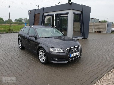 Audi A3 II (8P)-1