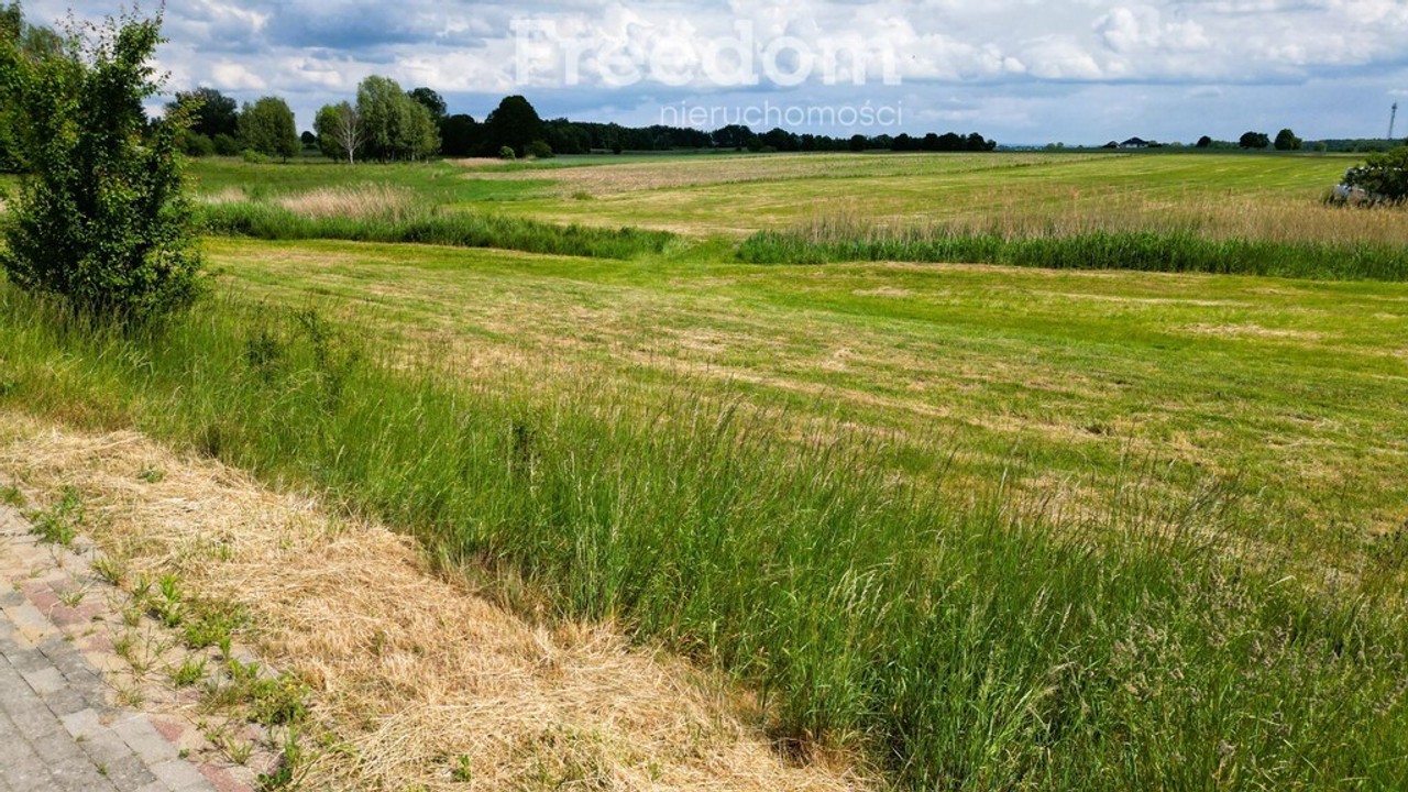 SZAŁKOWO - działka budowlana 17ar - Widok 5