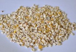 Zarodek kukurydzy jako dodatek paszowy w hodowli zwierząt