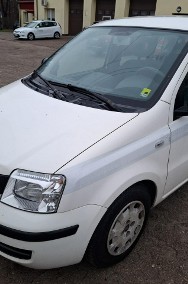 Fiat Panda II-2