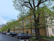 Mieszkanie Poznań Jeżyce