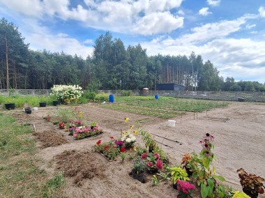 Zabudowana działka granicząca z lasem, Adamów gm. Bełchatów-1