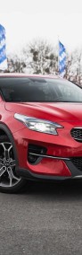 Kia Xceed , Salon Polska, Serwis ASO, Automat, Skóra, Klimatronic,-4