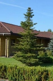 Dom Huta Dłutowska, ul. Brzozowa-2