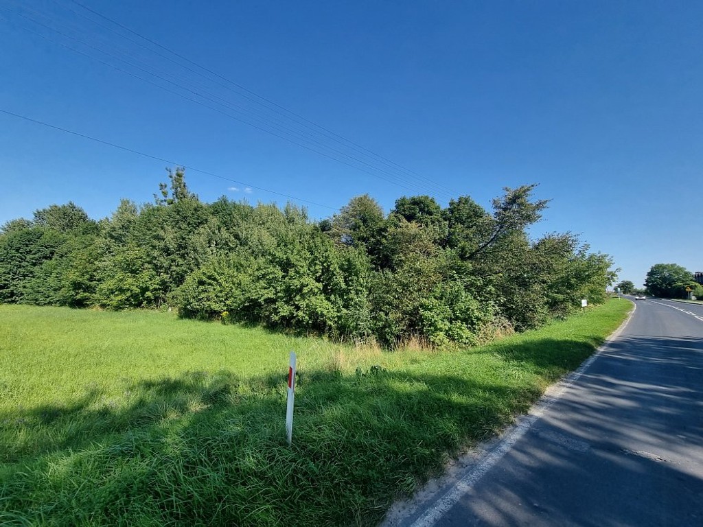 Działka budowlano-rolna 94 ar | Pawłów Rejowiec F. - Widok 4