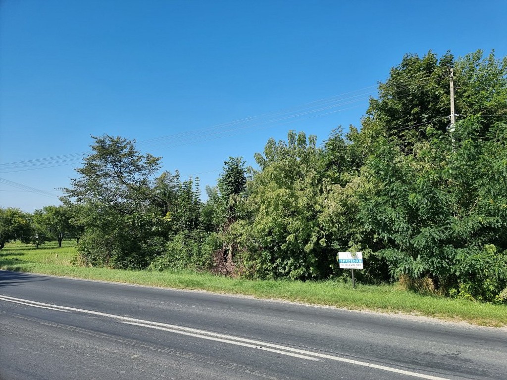 Działka budowlano-rolna 94 ar | Pawłów Rejowiec F. - Widok 5