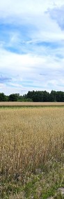 Działki rolne, Leszkowice, gm. Ostrówek-3