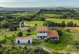 Dom Magliano In Toscana