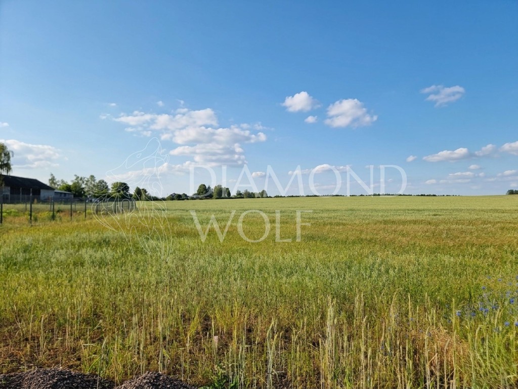 Działka 3001 m² z WZ i fenomenalnym widokiem na las – Tworzyjanki, gm. Brzeziny! - Widok 2