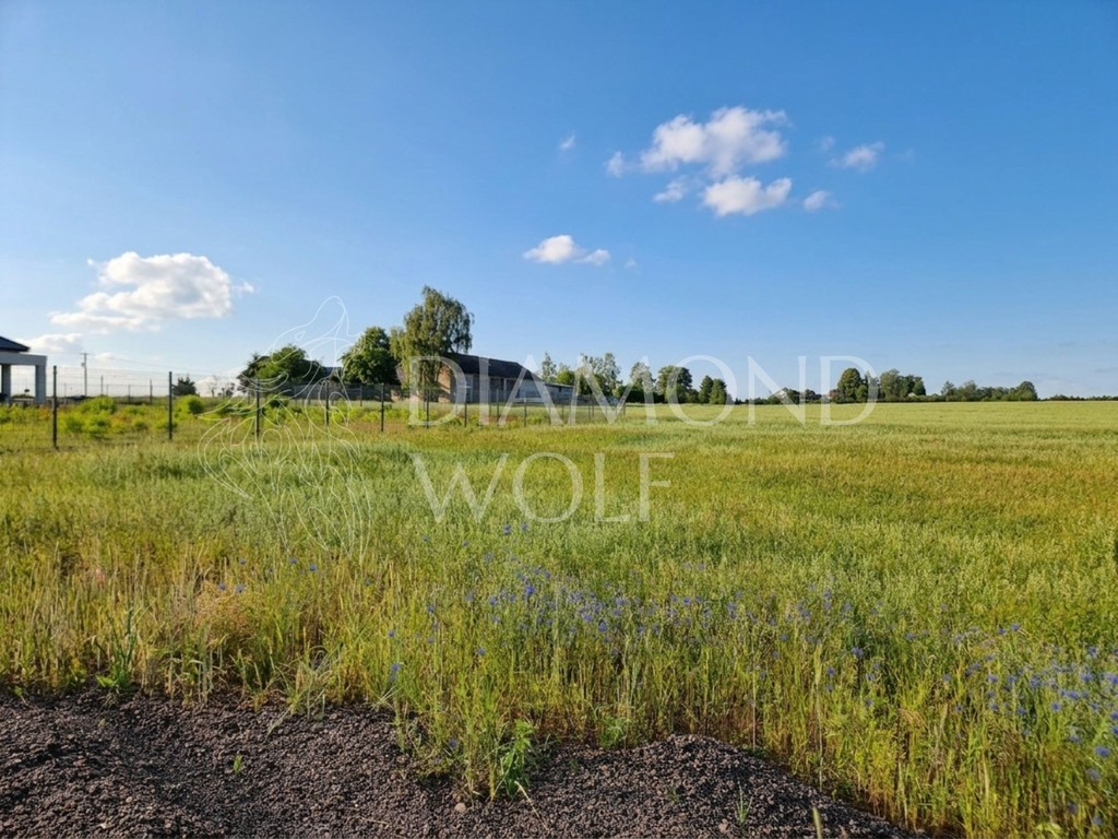 Działka 3001 m² z WZ i fenomenalnym widokiem na las – Tworzyjanki, gm. Brzeziny! - Widok 3