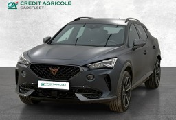 Cupra Formentor Cupra Formentor 2.0 TSI 4Drive DSG