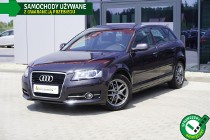 Audi A3 II (8P) Xenon, Grzane fotele, Climatronic, Czujniki, Tempomat, Alu, GWARANCJ