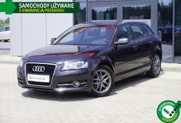 Audi A3 II (8P) Xenon, Grzane fotele, Climatronic, Czujniki, Tempomat, Alu, GWARANCJ