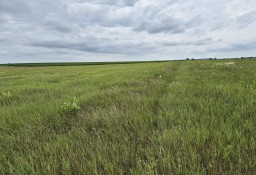 Działka budowlana Żerków