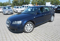 Audi A3 II (8P) sportbag