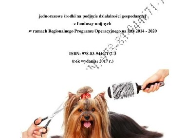 BIZNESPLAN mobilny psi salon fryzjerski (przykład)-1