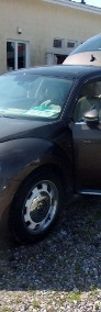 Volkswagen Beetle III-4