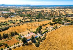 Dom Setúbal, Grândola, Azinheira Dos Barros E São Mamede Do Sádão