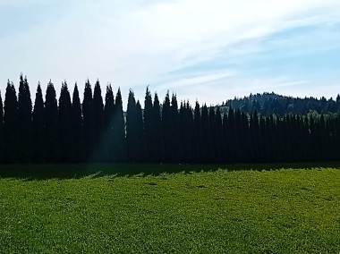 Krzeszów,bajkowe miejsce,dzialka budowlana,ogrodzona obsadzona na sprzedaz-1