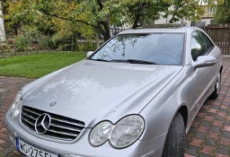 Mercedes-Benz Klasa CLK W209/A209 Mercedes Clk