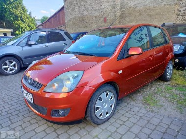 Ford Fiesta VI-1