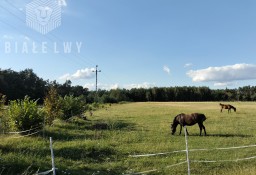 Działka budowlana Jagodne