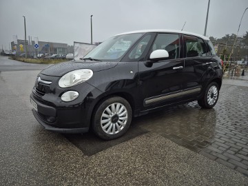 czarny z białym dachem 