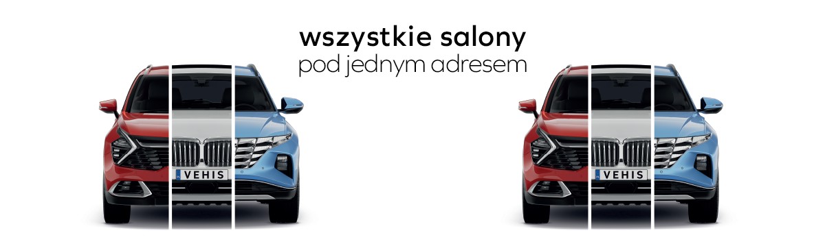 Banner ze zdjęciem firmy VEHIS.pl