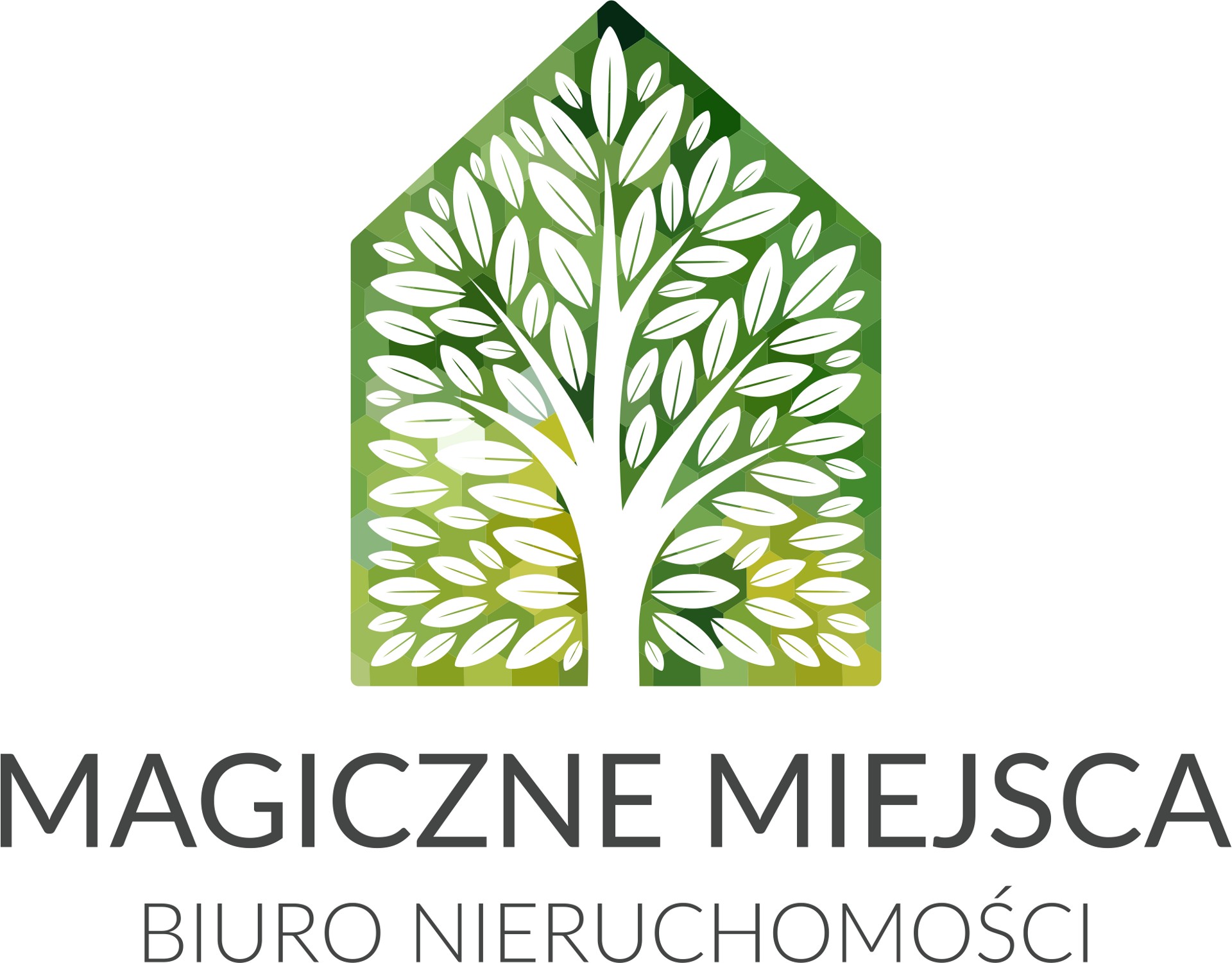 Magiczne Miejsca logo