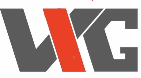 Logo V.I.G. Auto Plus