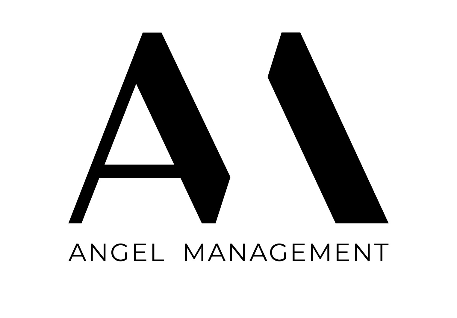Logo Angel Management Sp. z o.o.