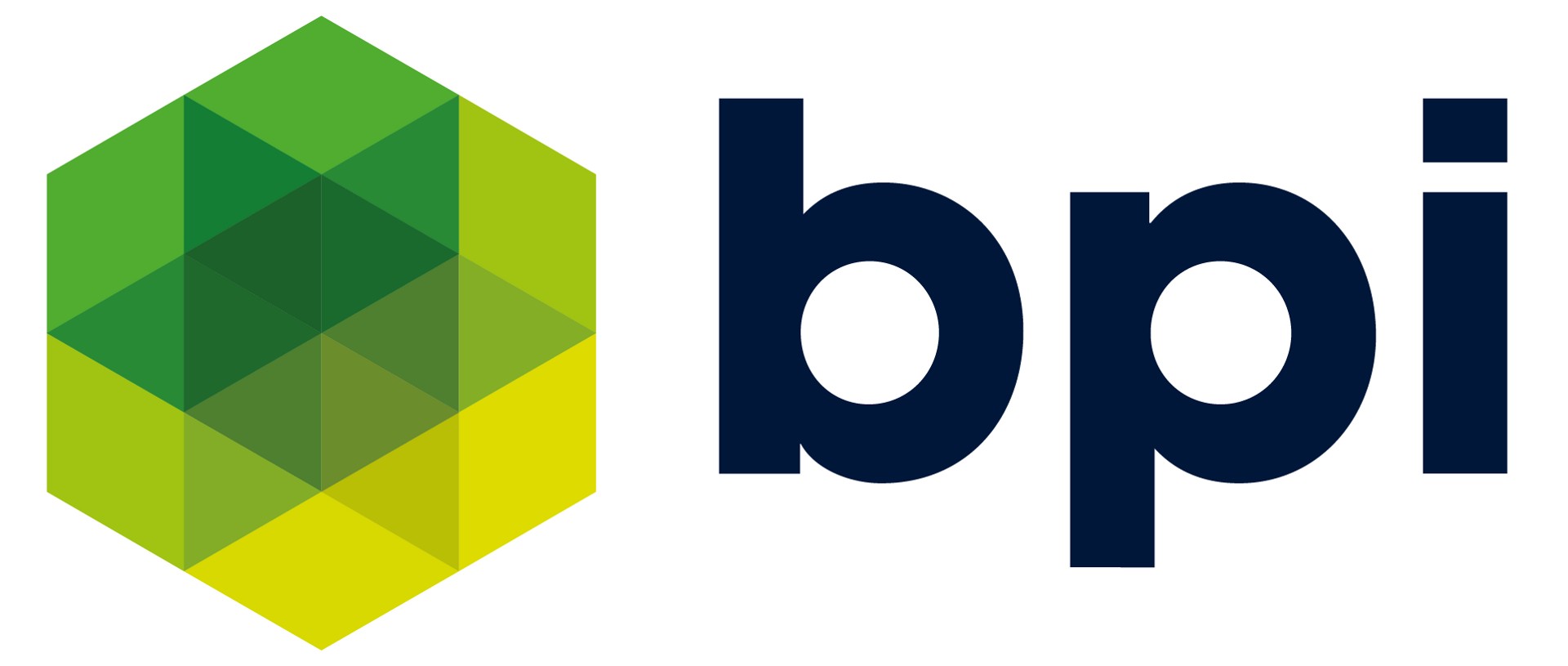 Logo BPI Real Estate Poland