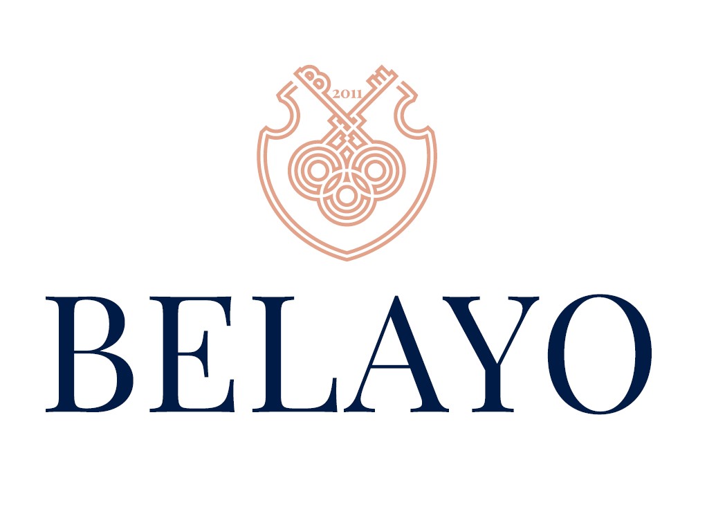 BELAYO LTD Spółka z ograniczoną odpowiedzialnością S.K.A. logo