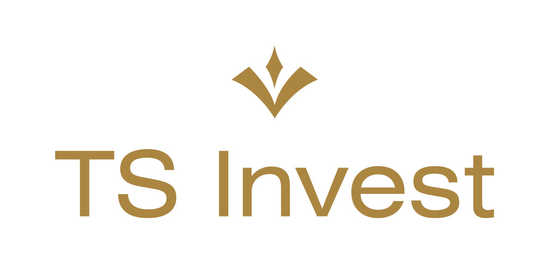 Logo TS Invest-Tesoro Sp.  z o.o.