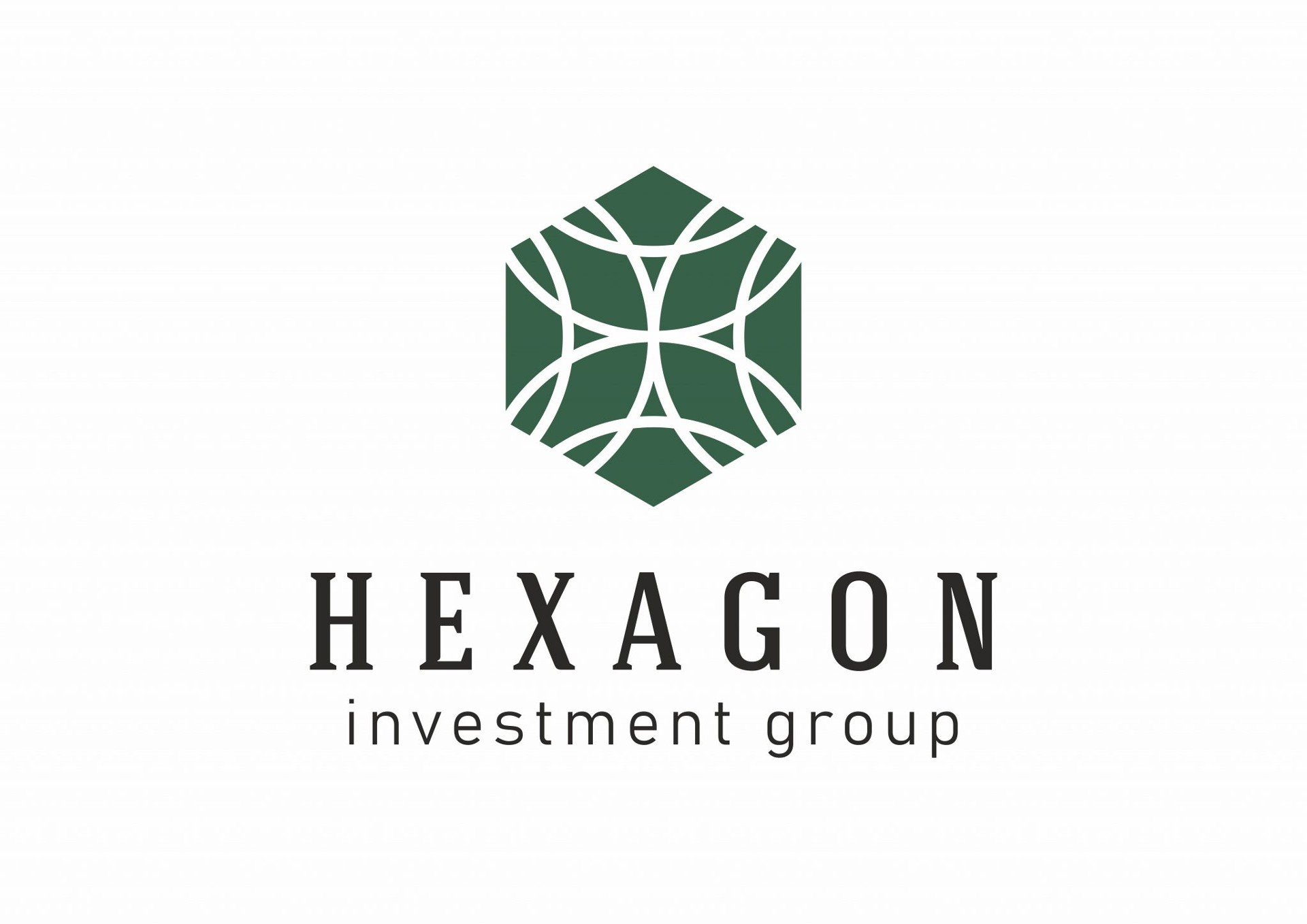 HEXAGON Investment Group logo