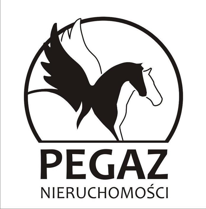 Logo PEGAZ NIERUCHOMOŚCI