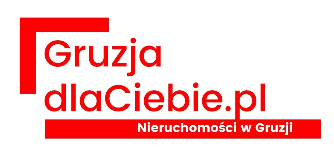 Logo Gruzja dla Ciebie