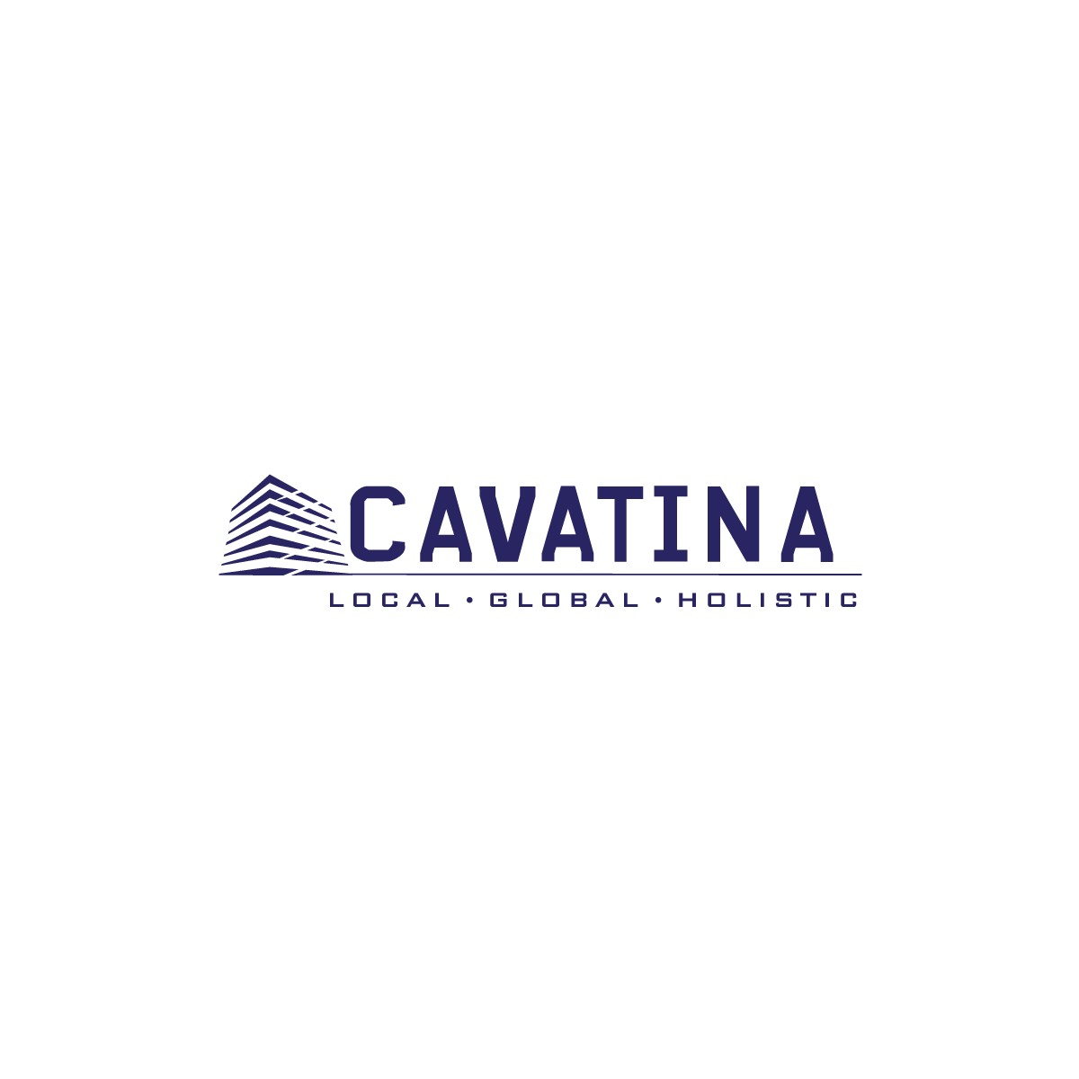 CAVATINA HOLDING S.A.