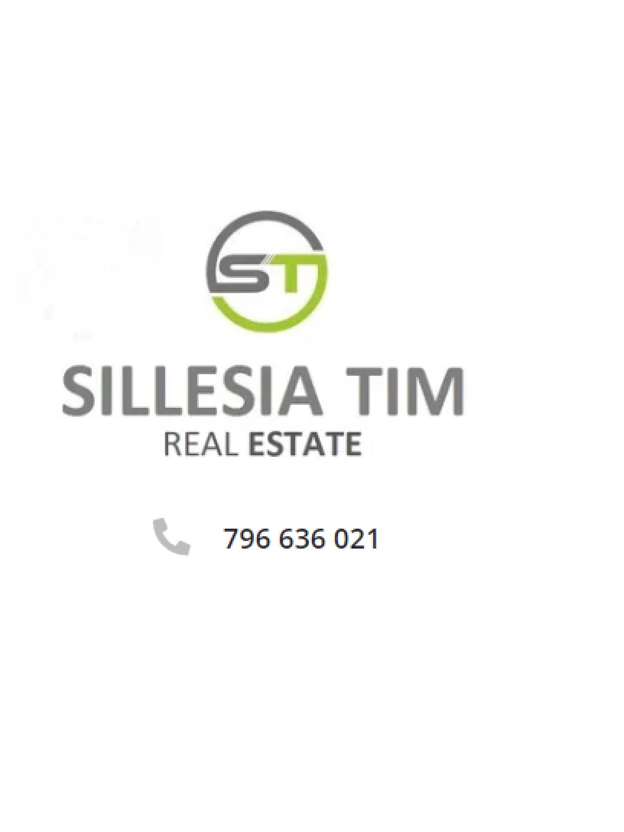 SILESIA TIM logo