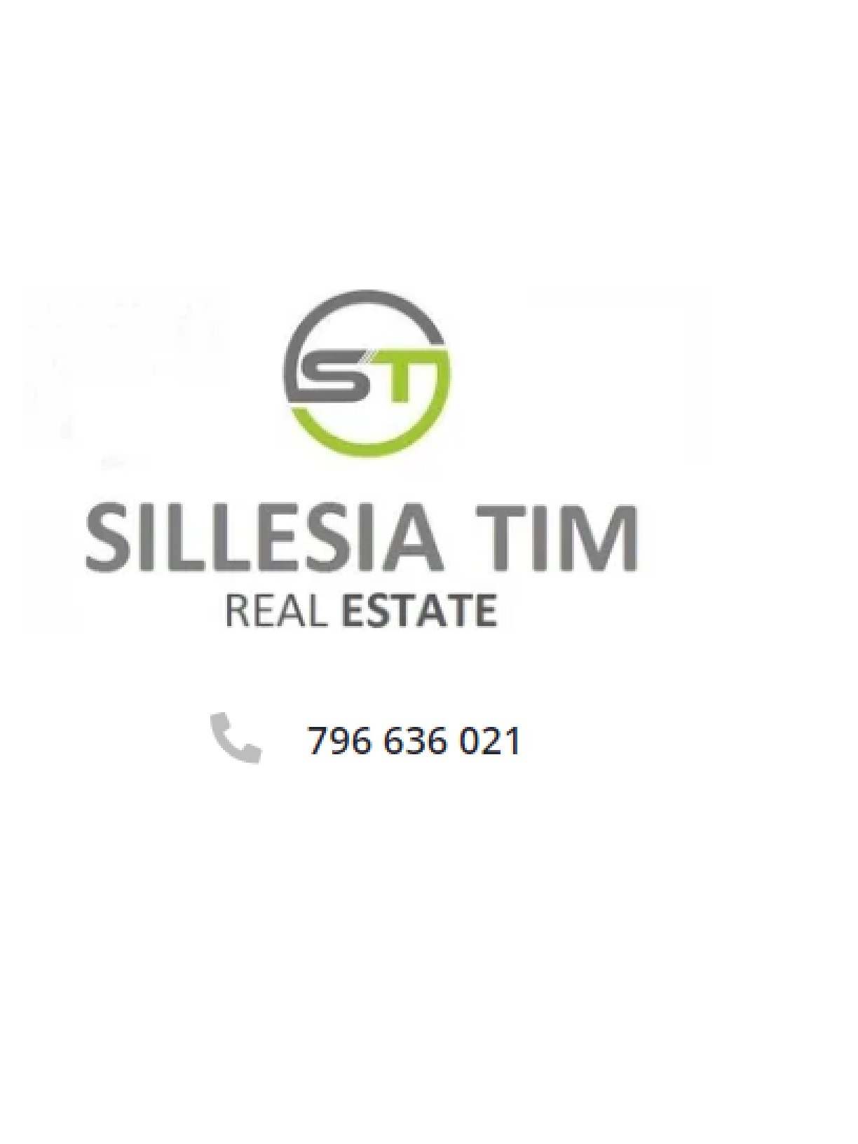 Logo SILESIA TIM