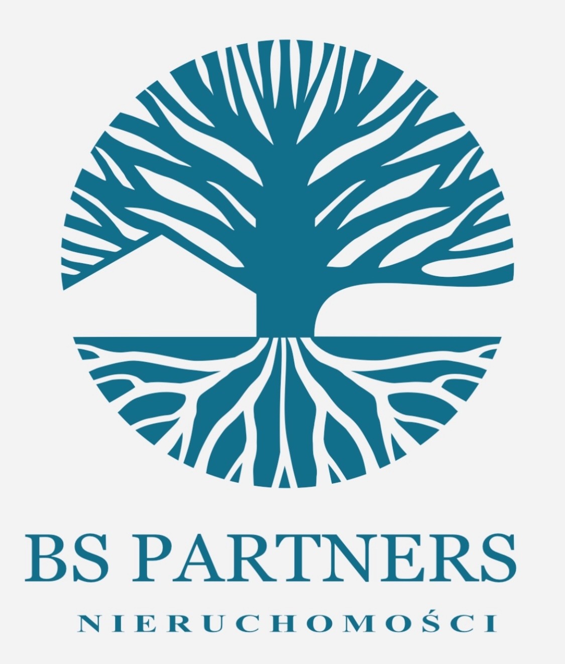 Logo BS PARTNERS NIERUCHOMOŚCI