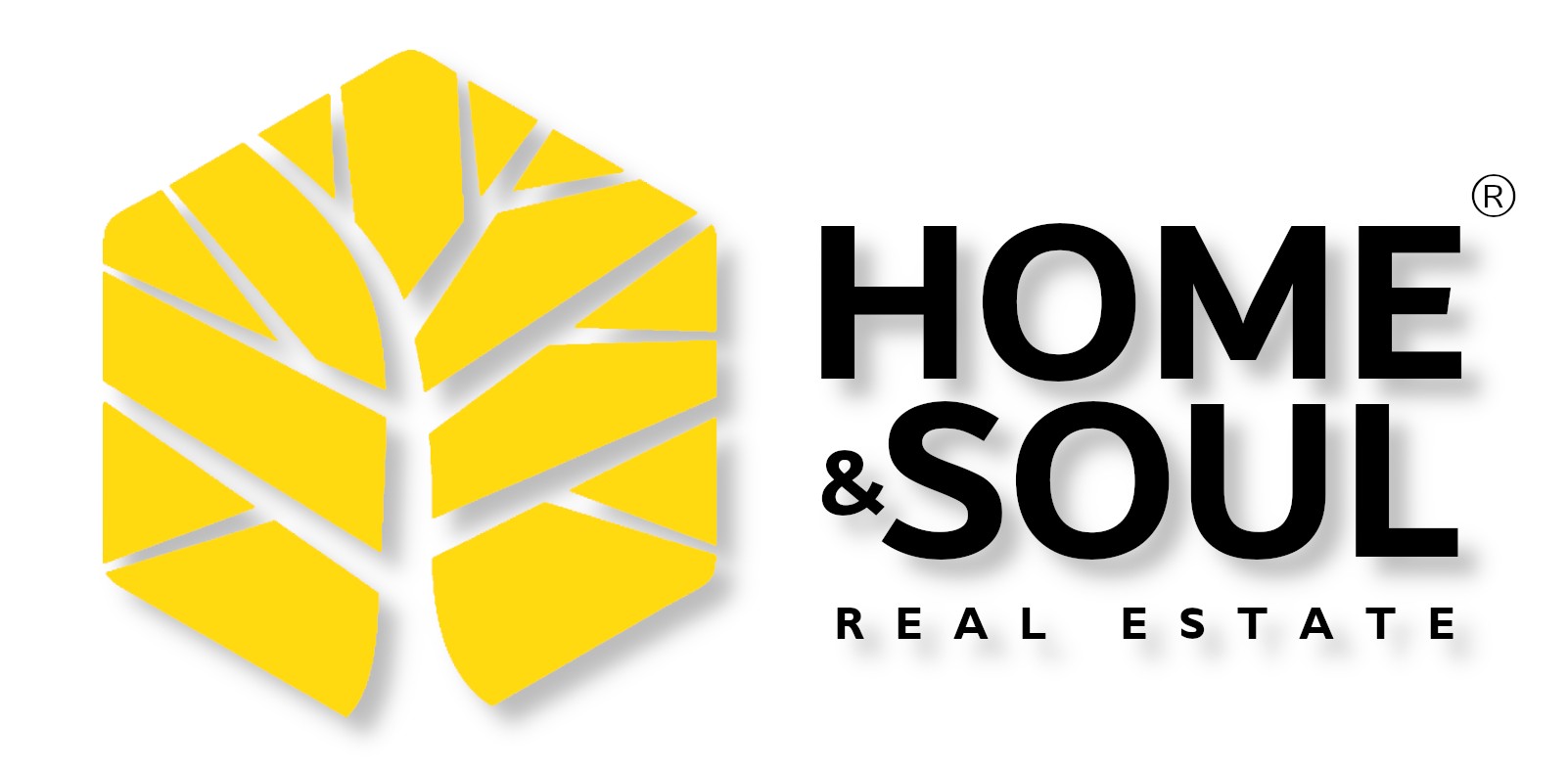 Home & Soul logo