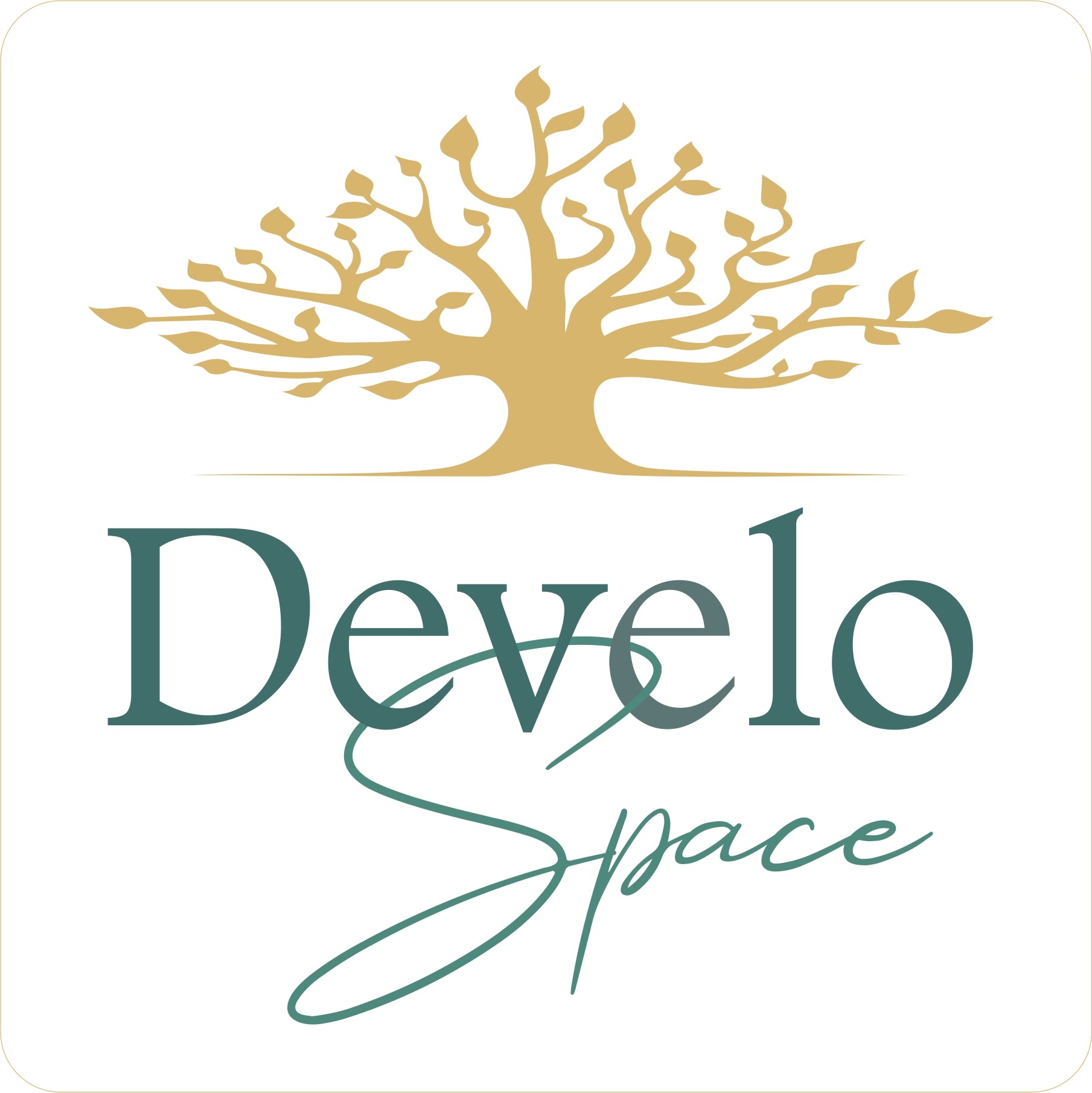 Logo DeveloSpace