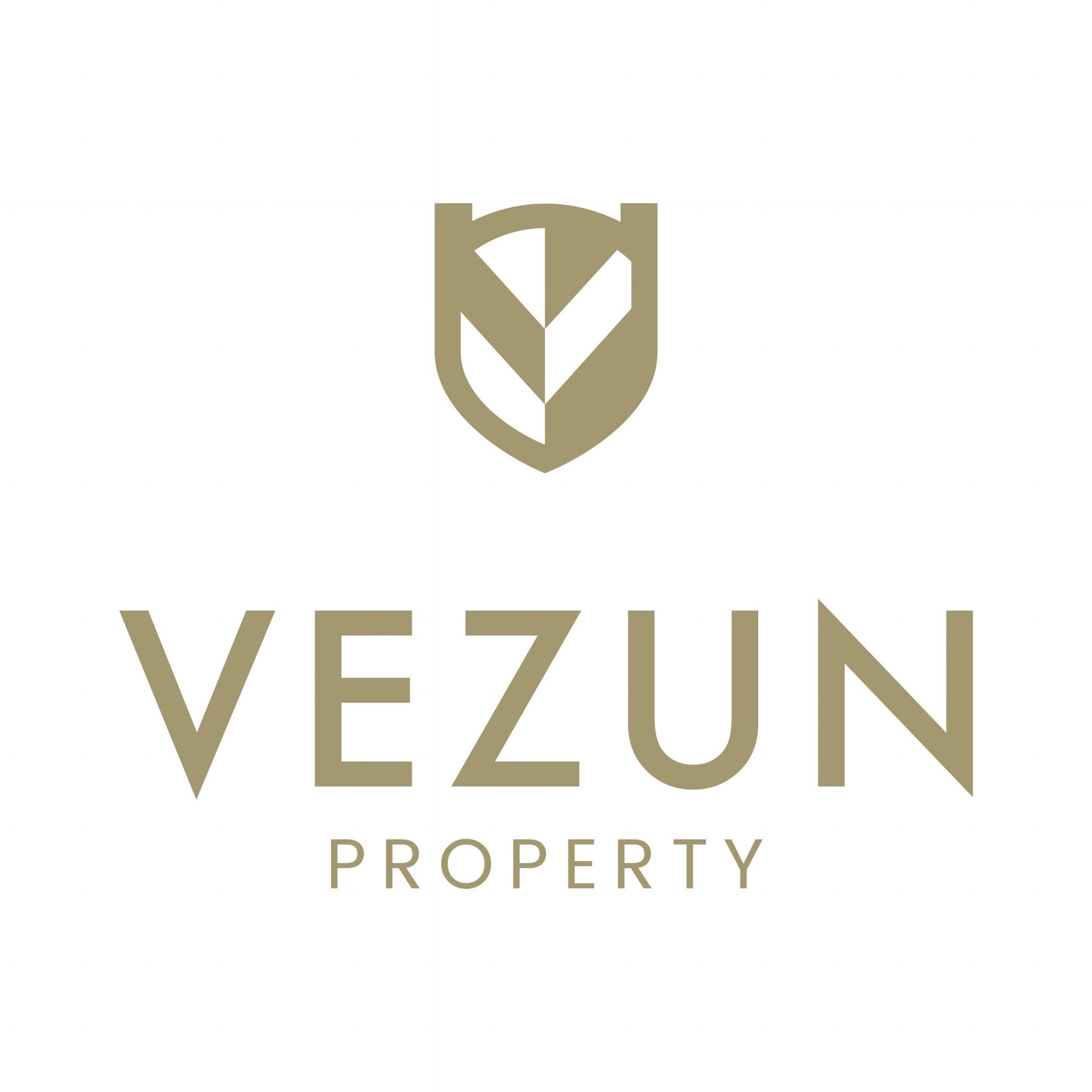 Logo VEZUN GROUP