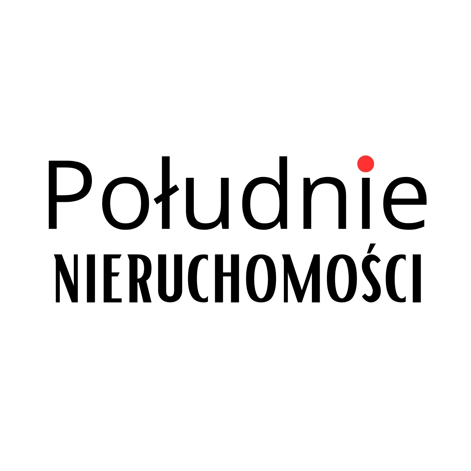 Południe Nieruchomości logo